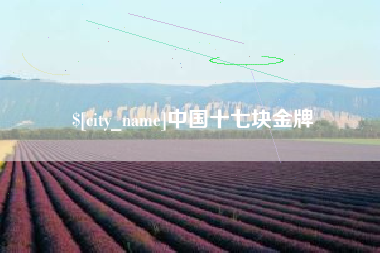 上杭中国十七块金牌