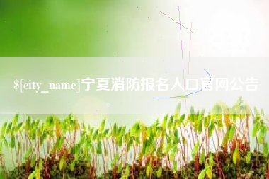 上杭宁夏消防报名入口官网公告