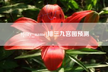 上杭排三九宫图预测