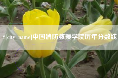 上杭中国消防救援学院历年分数线