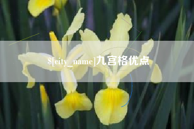 上杭九宫格优点