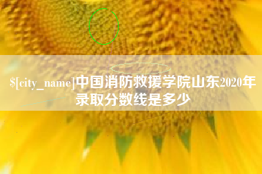 上杭中国消防救援学院山东2020年录取分数线是多少