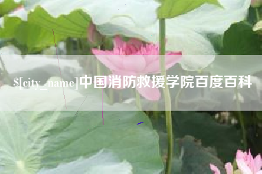 上杭中国消防救援学院百度百科