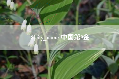 上杭中国第9金