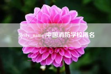 上杭中国消防学校排名