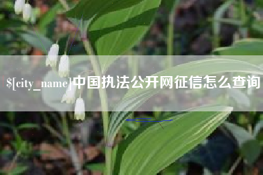 上杭中国执法公开网征信怎么查询