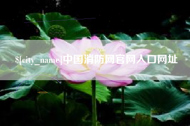 上杭中国消防网官网入口网址