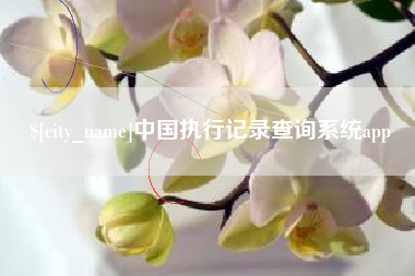 上杭中国执行记录查询系统app