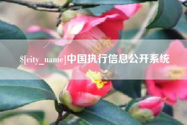 上杭中国执行信息公开系统