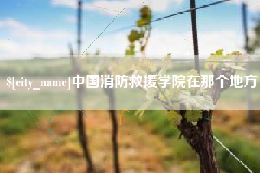 上杭中国消防救援学院在那个地方