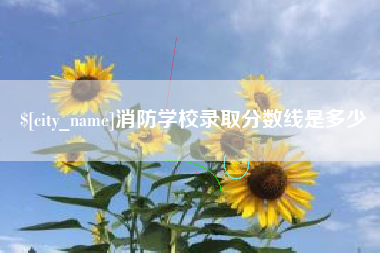 上杭消防学校录取分数线是多少