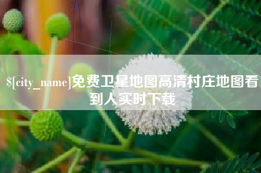 上杭免费卫星地图高清村庄地图看到人实时下载