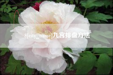 上杭九宫排盘方法