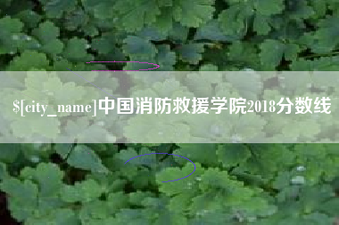 上杭中国消防救援学院2018分数线