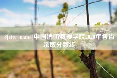 上杭中国消防救援学院2020年各省录取分数线