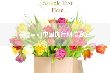 上杭中国执行网信息官网