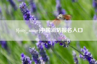 上杭中国消防报名入口