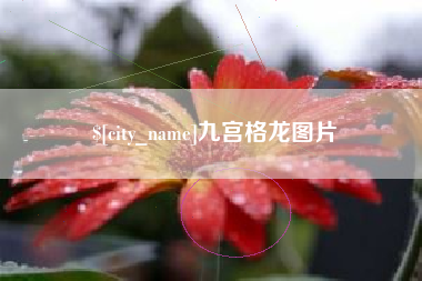 上杭九宫格龙图片