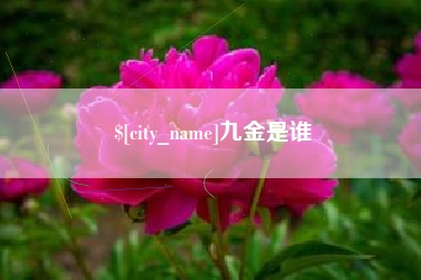 上杭九金是谁