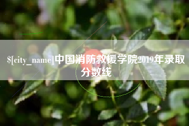 上杭中国消防救援学院2019年录取分数线