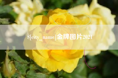 上杭金牌图片2021