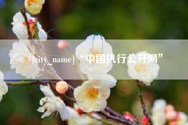 上杭“中国执行公开网”