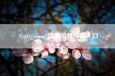 上杭国家消防报名入口