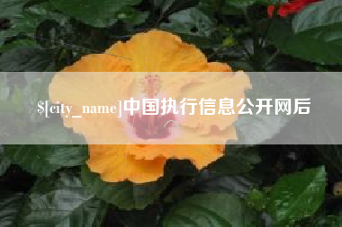 上杭中国执行信息公开网后