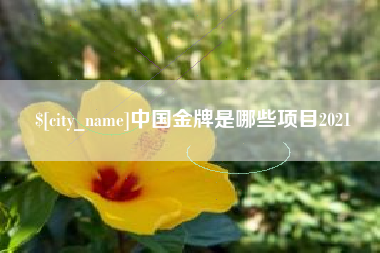 上杭中国金牌是哪些项目2021