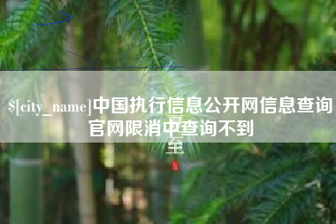 上杭中国执行信息公开网信息查询官网限消中查询不到