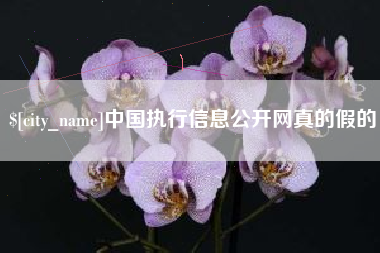 上杭中国执行信息公开网真的假的