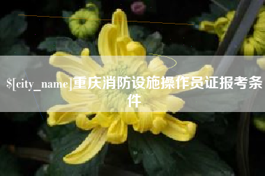 上杭重庆消防设施操作员证报考条件
