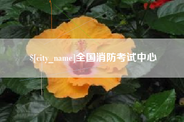 上杭全国消防考试中心
