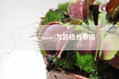 上杭九宫格分布图