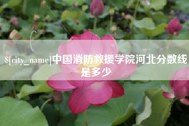 上杭中国消防救援学院河北分数线是多少