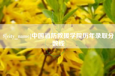 上杭中国消防救援学院历年录取分数线