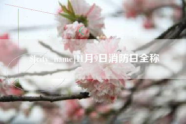 上杭11月9日消防日全称