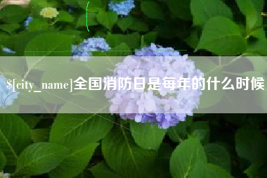 上杭全国消防日是每年的什么时候
