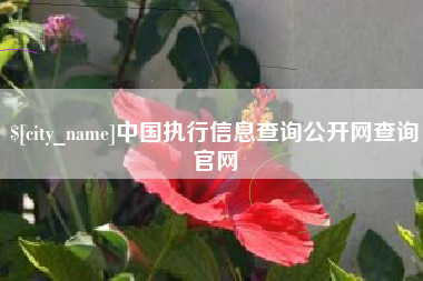 上杭中国执行信息查询公开网查询官网