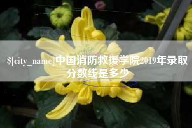 上杭中国消防救援学院2019年录取分数线是多少