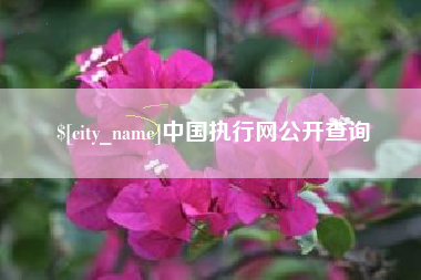 上杭中国执行网公开查询
