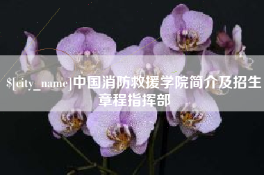 上杭中国消防救援学院简介及招生章程指挥部