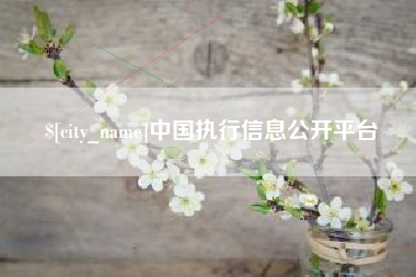 上杭中国执行信息公开平台