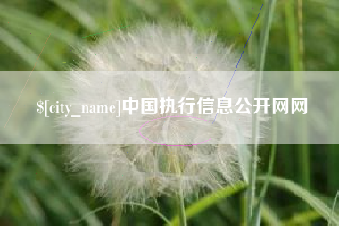 上杭中国执行信息公开网网