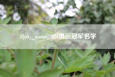 上杭2024奥运冠军名字