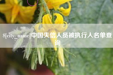 上杭中国失信人员被执行人名单查询