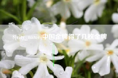 上杭中国金牌得了几枚金牌