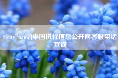 上杭中国执行信息公开网客服电话查询