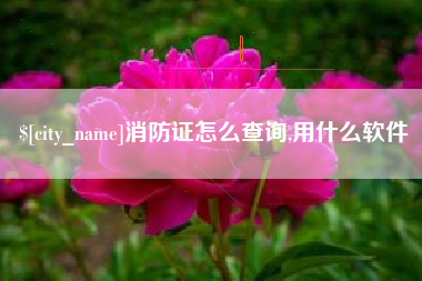 上杭消防证怎么查询,用什么软件