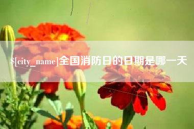 上杭全国消防日的日期是哪一天
